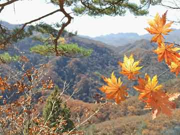 平坝水泵维修电话-平坝全部送水电话